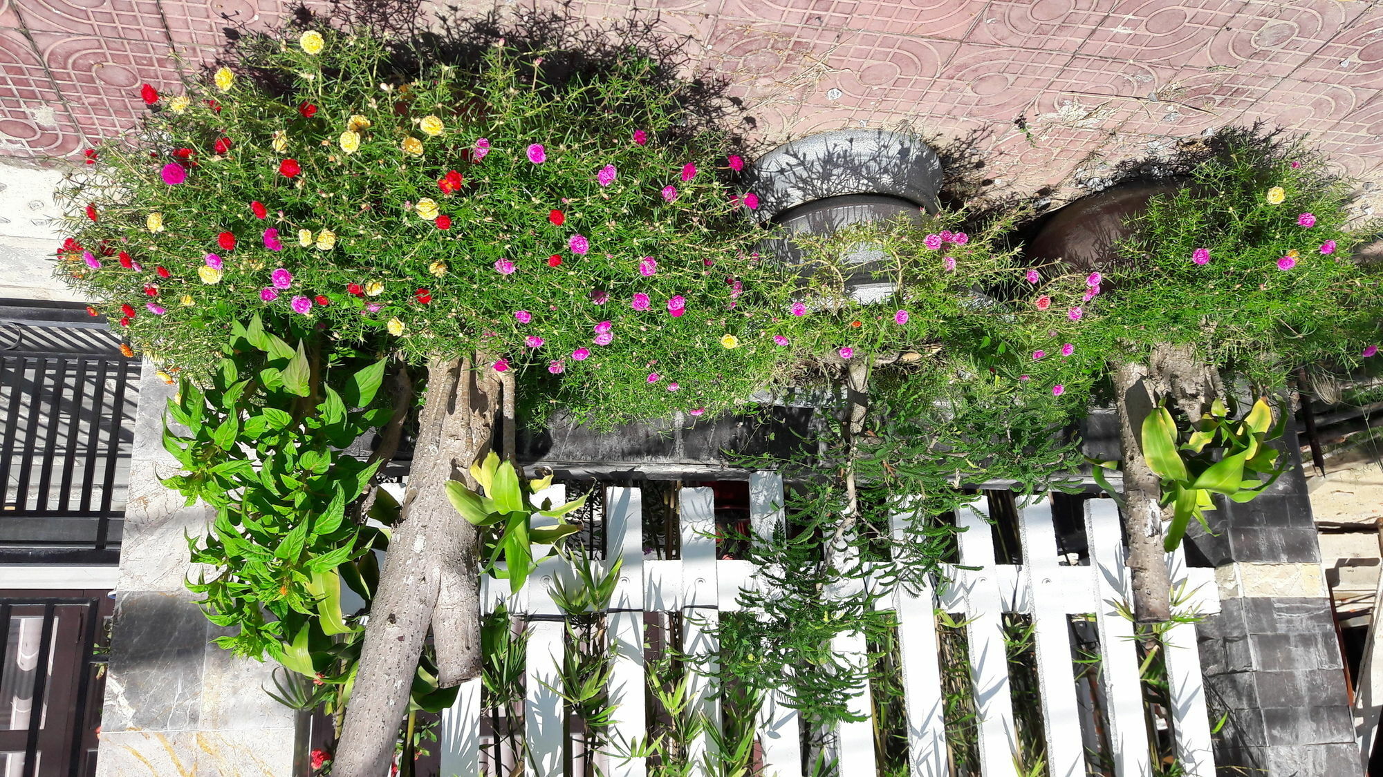 The House 36 Apartment Hoi An Exterior photo